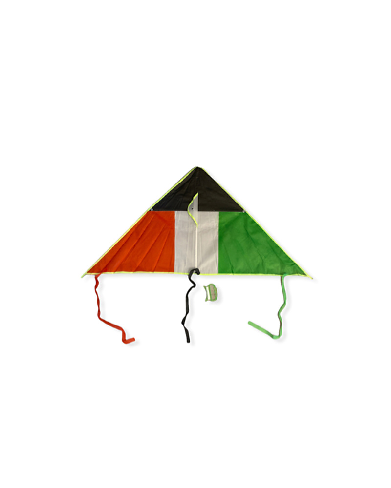 طيارة علم الكويت 3