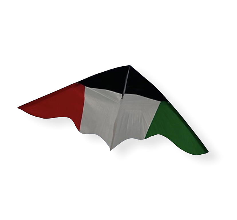 طيارة علم الكويت 1