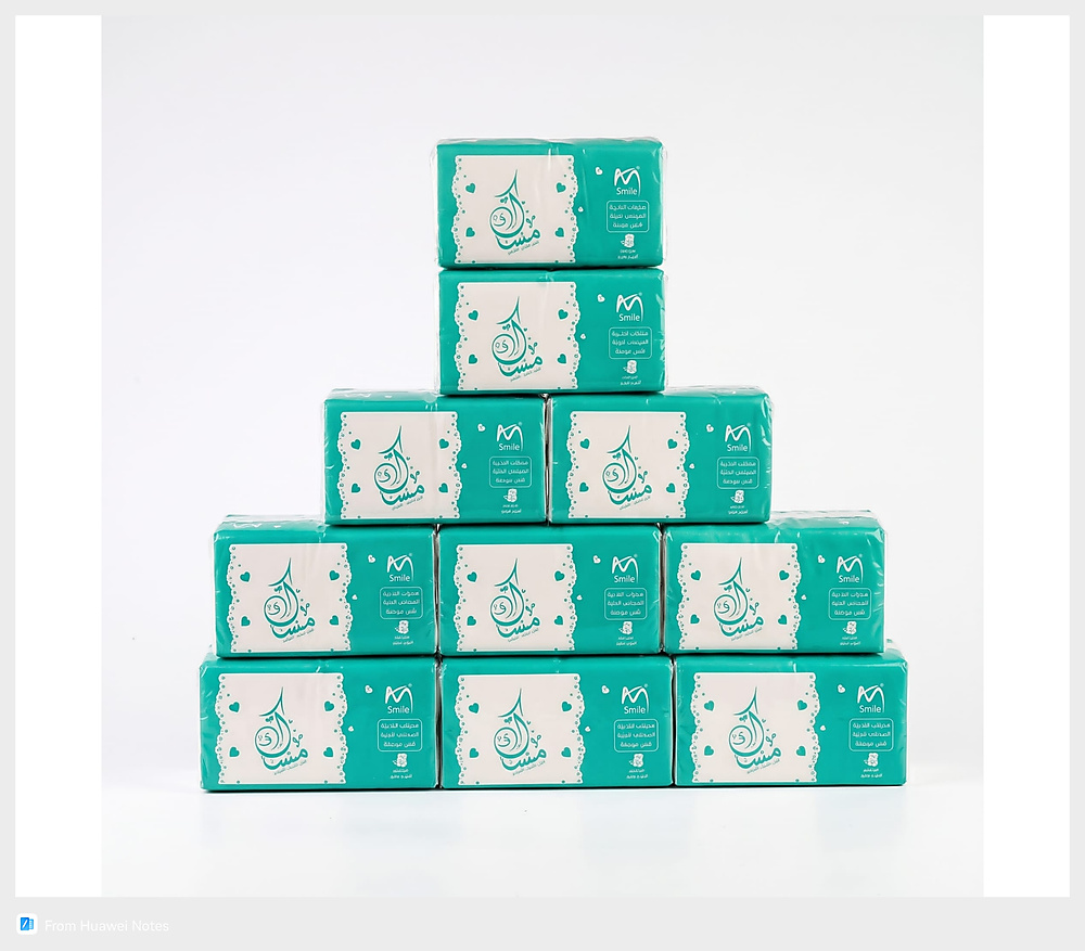 Paper Tissues - 600 pcs