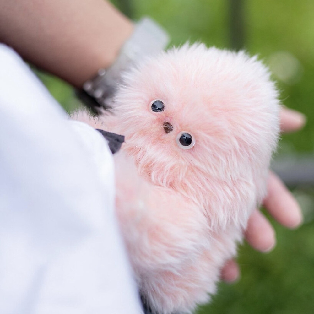 mirumi - ميرومي