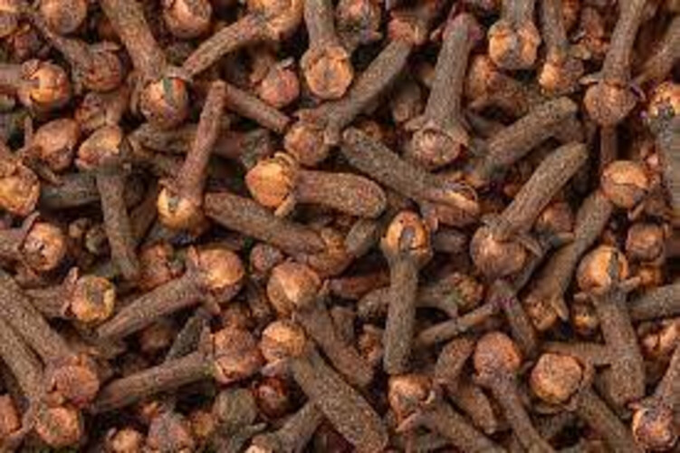 Indonesian nail cloves