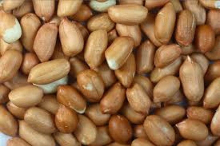 American Roasted Peanuts In Shell
