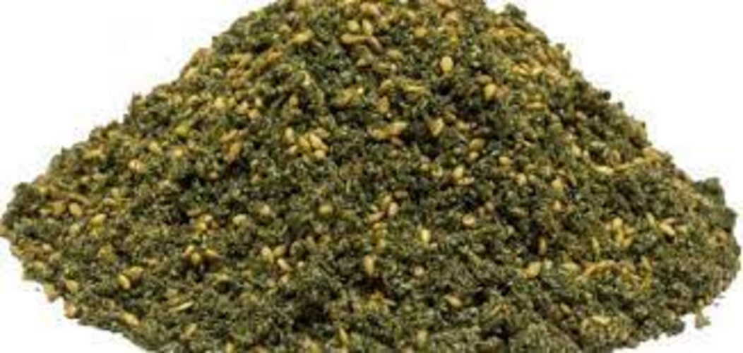 Palestinian Thyme
