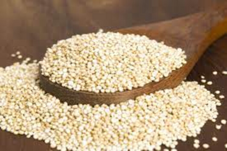 Quinoa Seeds