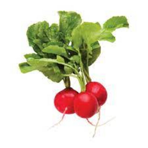 Red Radish Bundle
