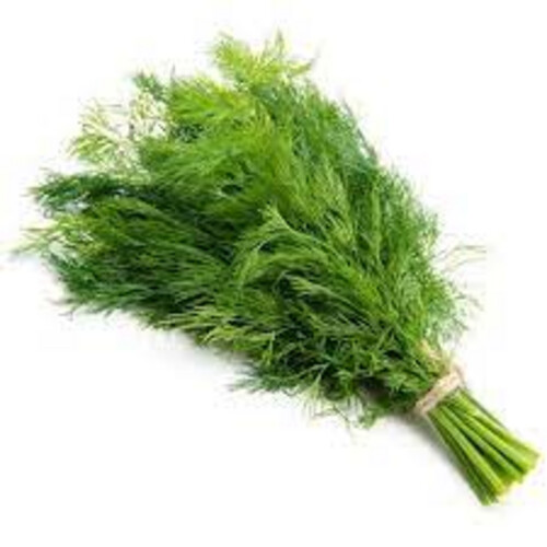 Dill Bundle