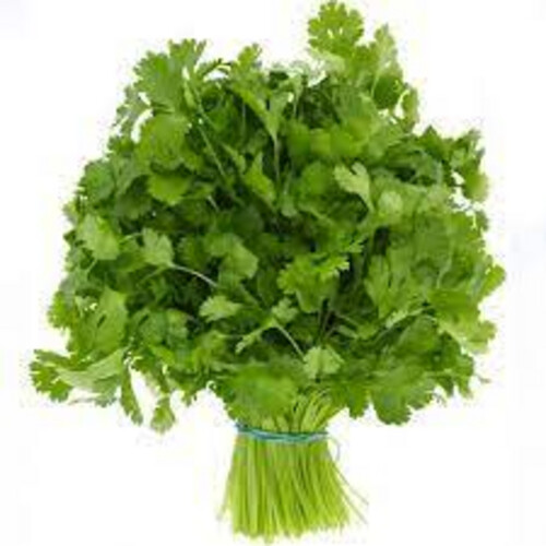 Cilantro Bundle