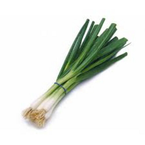 Green Onion Bundle