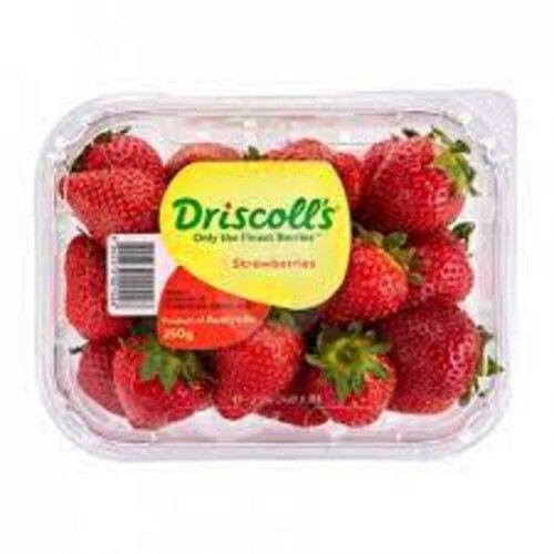 Middle American Strawberry Box