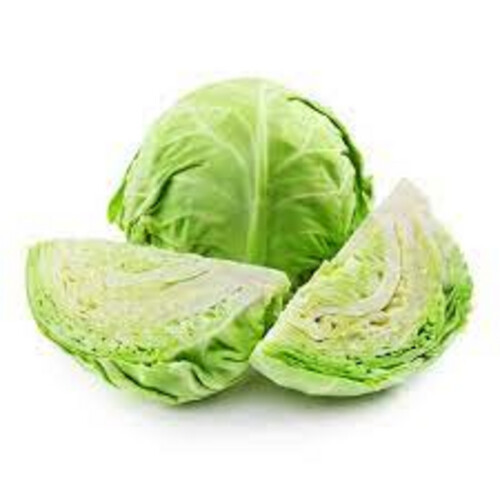 Green Cabbage