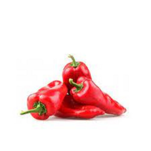 Shakra Hot Pepper