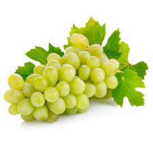 American green grape