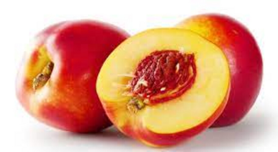 Nectarine Peach