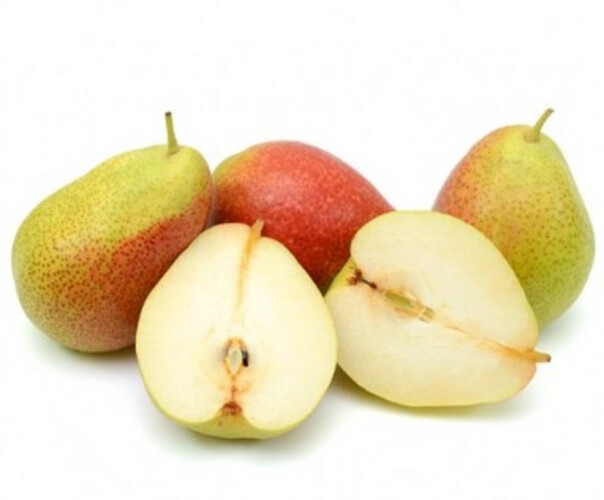 American Pear