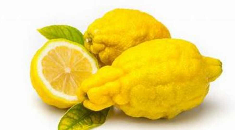 ترنج اصفر