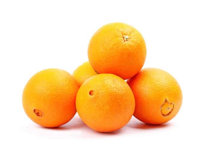 Navel Orange