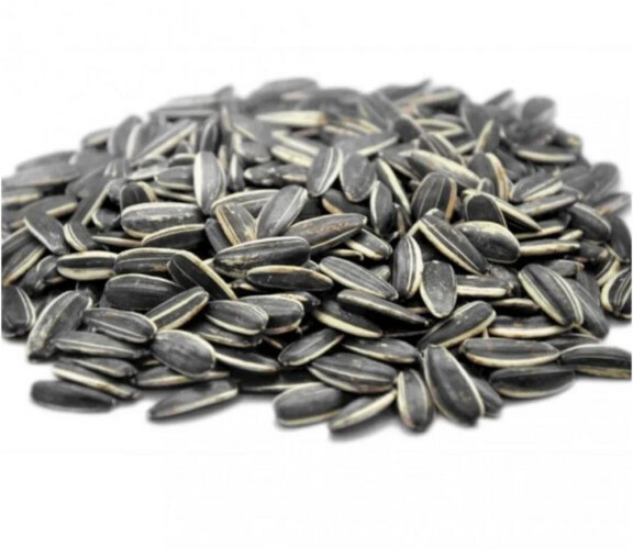 Plain Roasted Sunflower Seeds