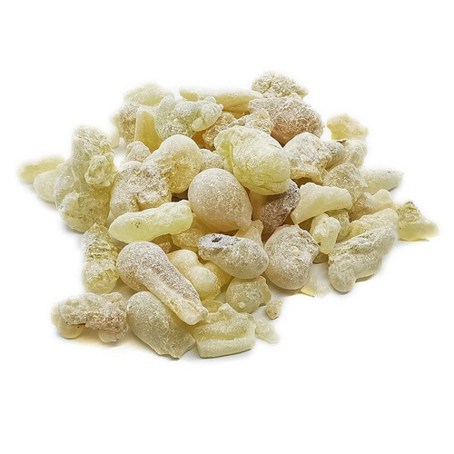 Male gum