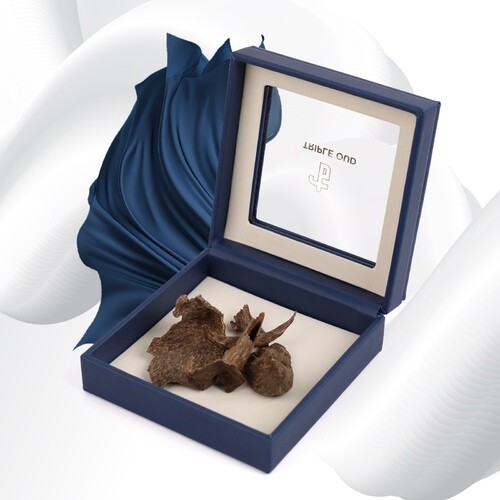 سيلاني قديم