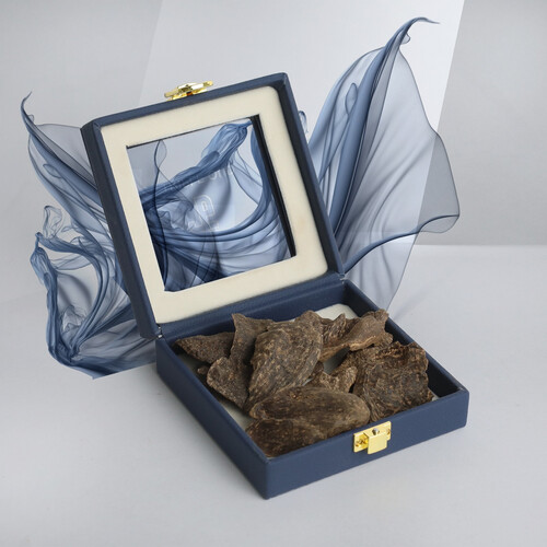 كمبودي بلاتينيوم