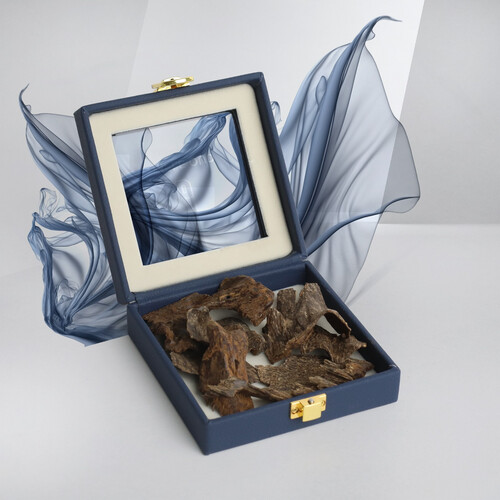 سيلاني النخبة