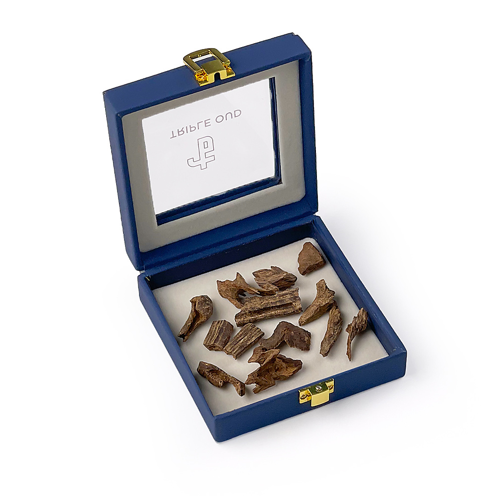 فلبيني بلاتينيوم