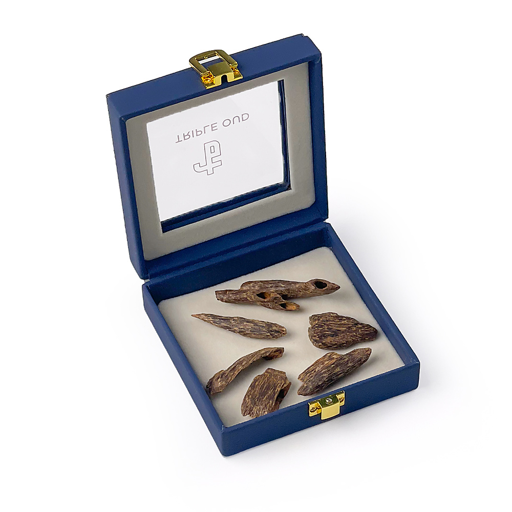 فلبيني نخبة النخبة