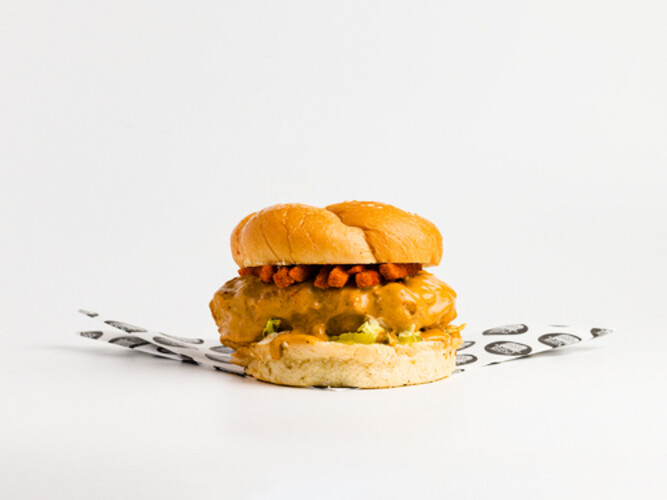 ساندوش تشكن زنجر