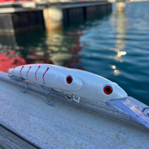 دريةشادو سلفر فيش