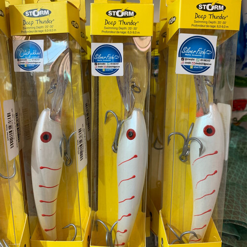 دريا ستورم  Q8