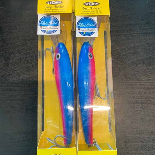 دريا ستورم  Q8