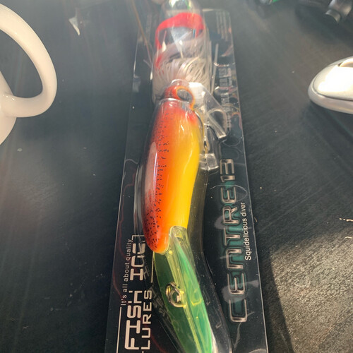 فيش إنس لورس مصبوغة