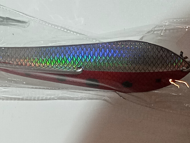 قفشه بارا كودا مقاس 6