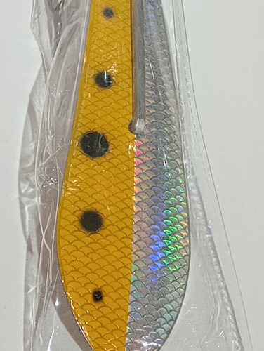 قفشه بارا كودا مقاس 6