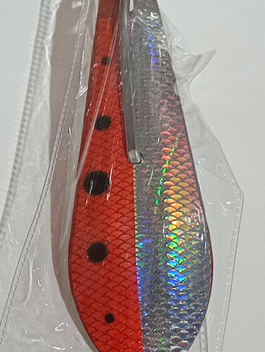 قفشه بارا كودا مقاس 6