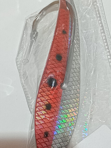 قفشه بارا كودا مقاس 5