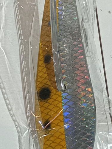 قفشه بارا كودا مقاس 5