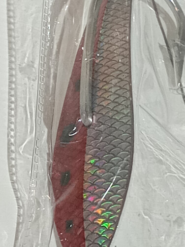 قفشه بارا كودا مقاس 5