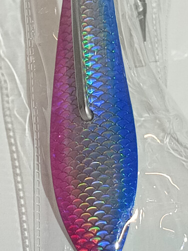 قفشه بارا كودا مقاس 5