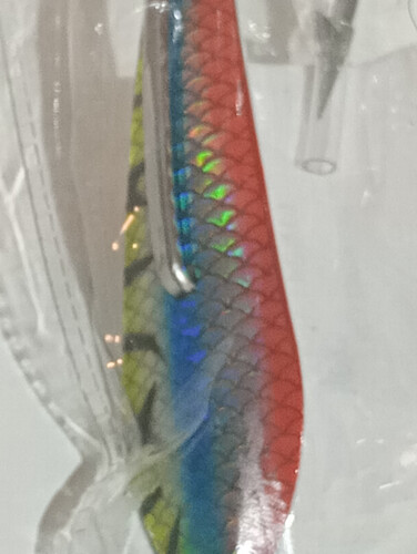 قفشه بارا كودا مقاس 2