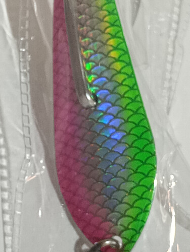 قفشه بارا كودا مقاس 2