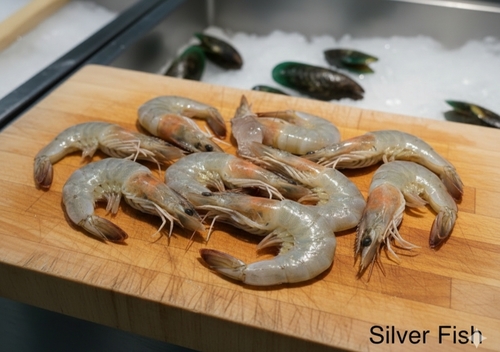 روبيان فانامي 30/40