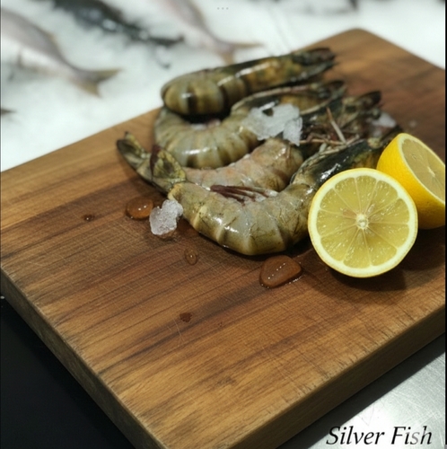 روبيان بحر امارات