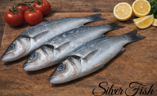 سيباس أو قاروس