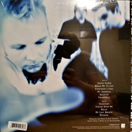EVANESCENCE - FALLEN