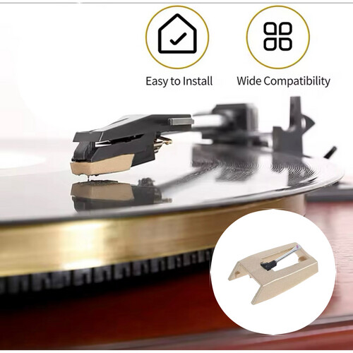 Vinyl Player Needle