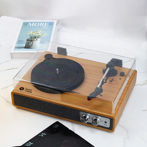 Vinyl Record Player With Dust Cover