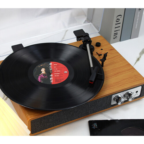Vinyl Record Player With Dust Cover