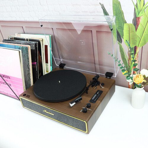 Retro Record Player with dust cover Professional