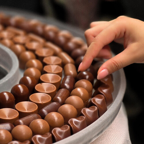 Reson plate chocolate  161 pieces